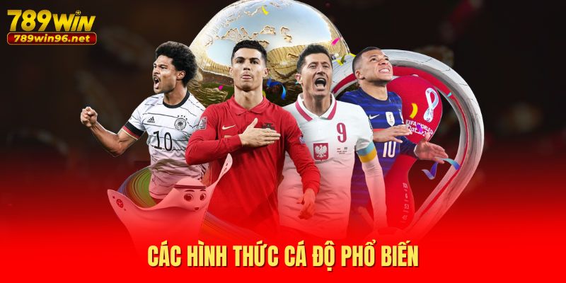 Các hình thức cá độ phổ biến Các hình thức cá độ phổ biến