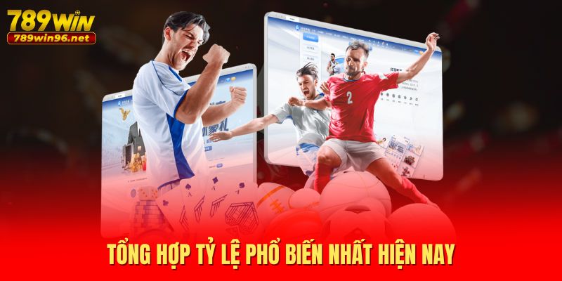 Tổng hợp tỷ lệ phổ biến nhất hiện nay Tổng hợp tỷ lệ phổ biến nhất hiện nay
